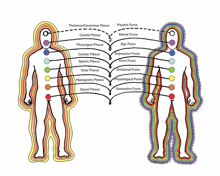 chakras diagram of plexuses, force centers, and light bodies.